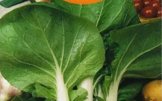 Seed packet of Chinese cabbage PAVA with image of fresh leaves and vegetables
