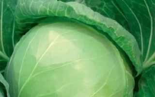 Первая Любовь