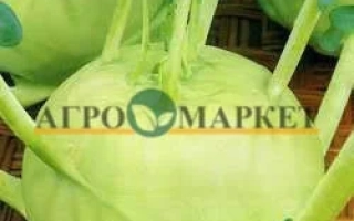Seed packet of kohlrabi cabbage named Povarikha