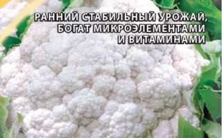 Птичье Молоко