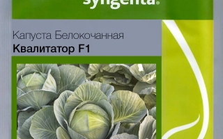 Квалитатор