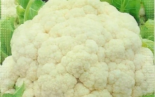 Сахарная Глазурь