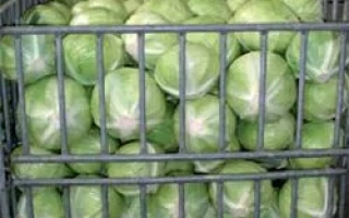 Корзина с капустой - Сторэма РЦ F1