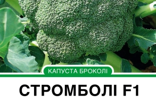 Семена капусты Стромболи F1