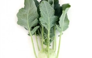 Fresh Terek cabbage on white background