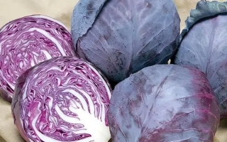 Fresh red cabbage on fabric - Topaz