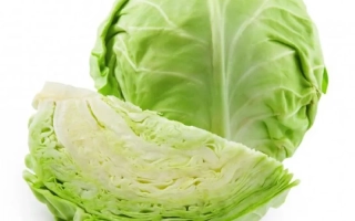 Fresh cabbage YUNA | YUNA, whole and sliced
