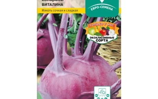 Seed packet of Vitalina cabbage with image of purple cabbage