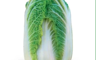 Свежая капуста сорта Зена F1 на белом фоне