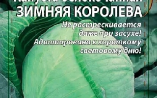 Зимняя Королева