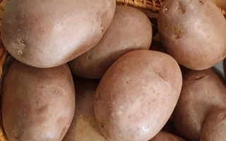 Александрит