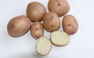 Алексеевский