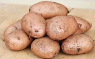 Кучка картофеля сорта Ажур на деревянной поверхности