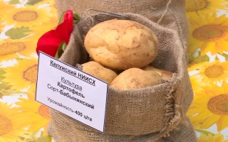 Бабынинский