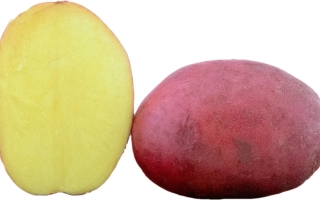 Балтик Фаер