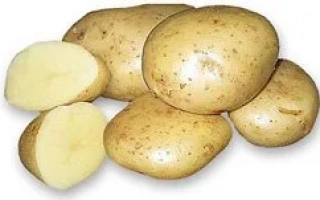 Белоснежка