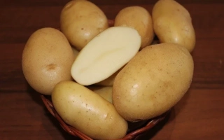 Болвинский