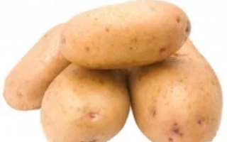 Брянская Новинка