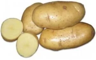 Брянский Юбилейный