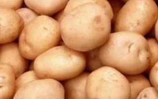 Бурновский