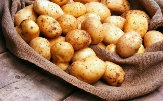 Картофель в мешке на деревянной поверхности - Феникс