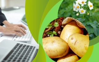 Интеллигент