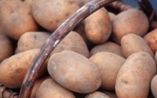 Ипатовский