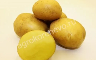 Краса Мещеры