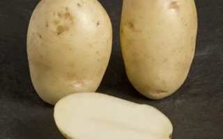 Два цілі та один нарізаний картопля на темному фоні - ЛЕДІ ЛЕНОРА