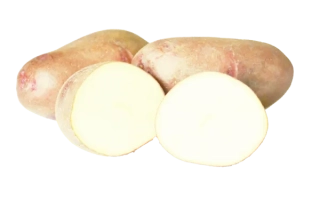 Межиричка 11