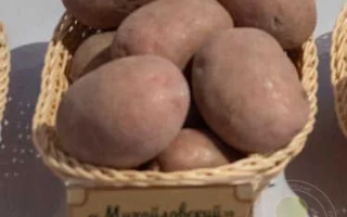 Михайловский