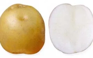 Москворецкий