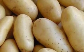 Мостовский