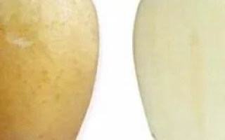 Нальчикский