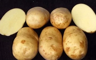 Оредежский