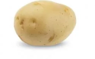 Памяти Аношкиной