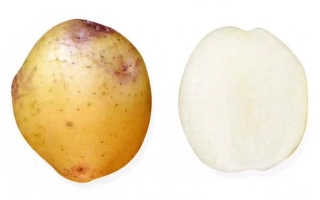 Памяти Кулакова