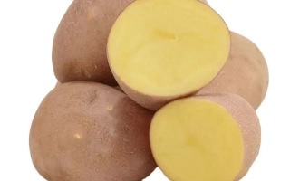 Картофель ПЕРШАЦВЕТ — клубни с разрезом, показывающие желтую мякоть