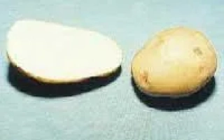 Полесская 96