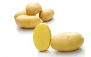 Примадонна