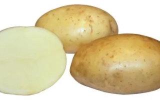 Три картофелины, одна нарезанная пополам, на белом фоне - Румба