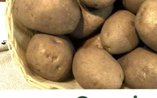 Сувенир чернигивский