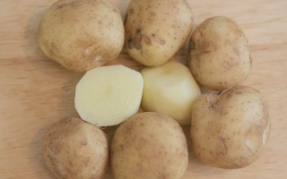 Тимо Ханккиян