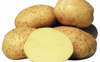 Картофель Винета — целые и нарезанные клубни