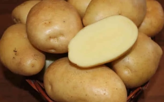 Жигулевский