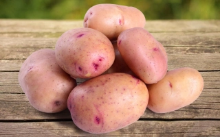 Жуковский Ранний