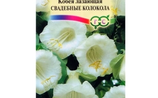 Свадебные Колокола