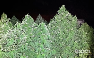 Днепровские однодомные 6