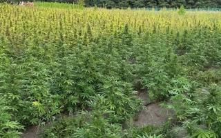 Золотоношские 15