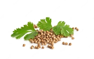Кориандр и листья на белом фоне - Натурсвит